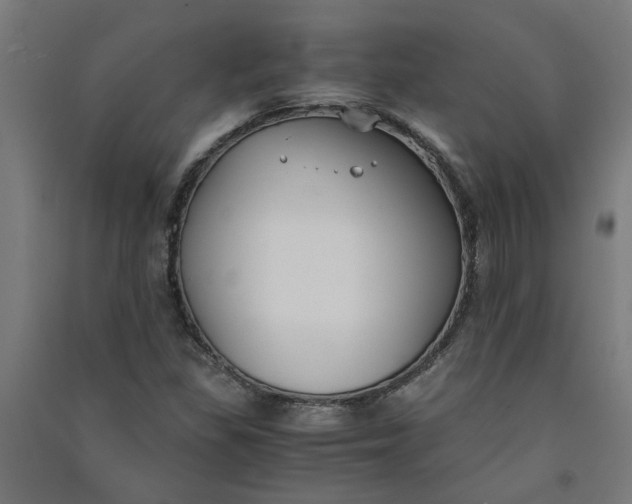 X0000091061309200708201336
