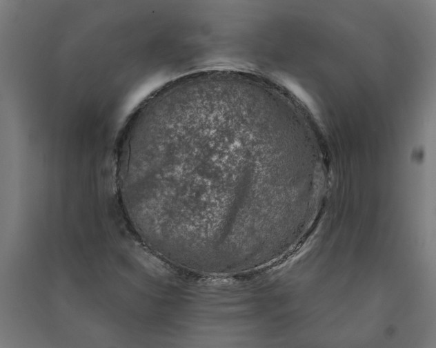 X0000091061310200708201336