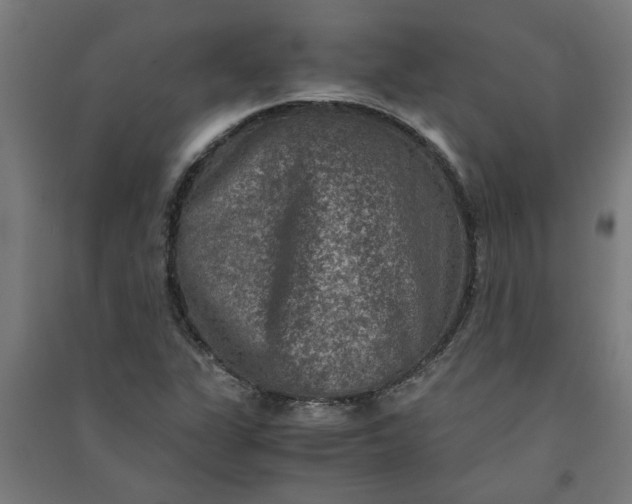 X0000091061311200708201336