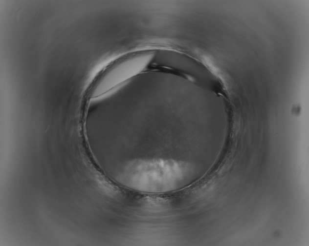 X0000091061312200708201336