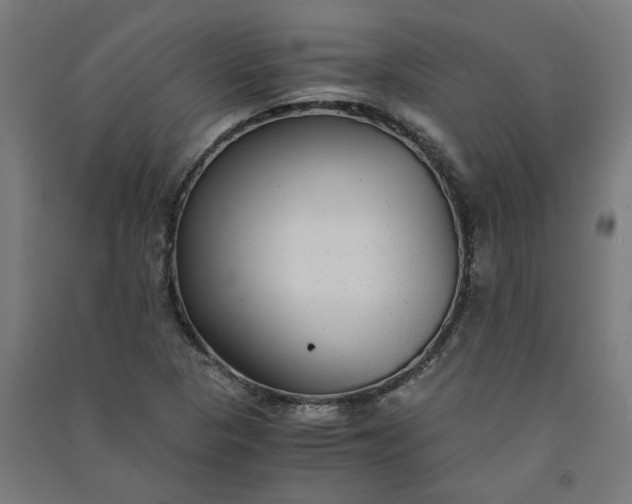X0000091061313200708201336