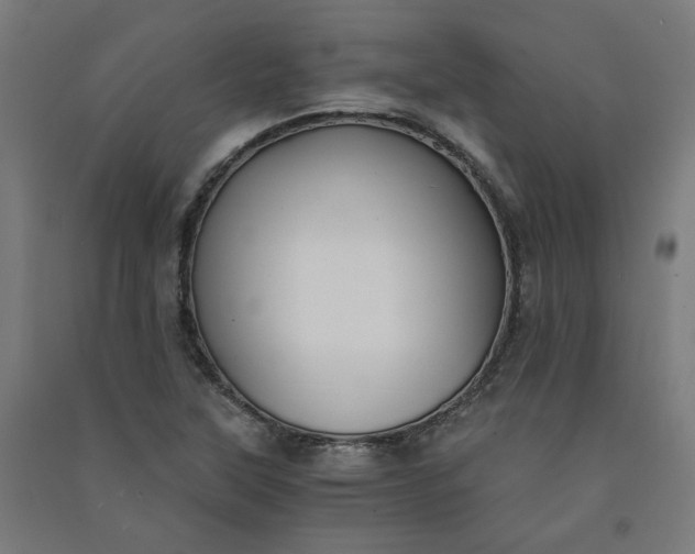 X0000091061315200708201336