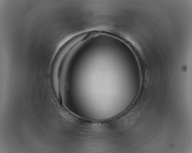 X0000091061316200708201336