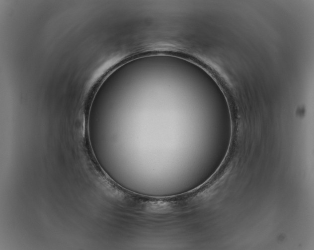 X0000091061317200708201336
