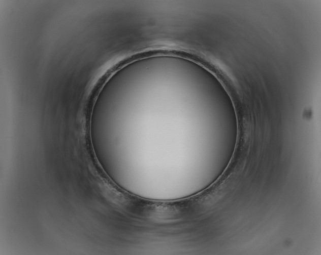 X0000091061318200708201336