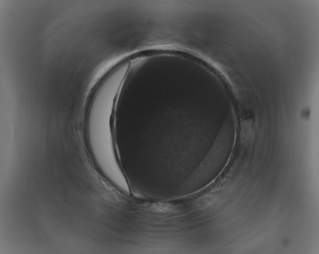X0000091061319200708201336
