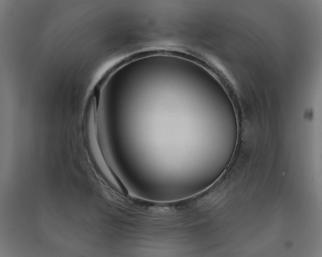 X0000091061320200708201336