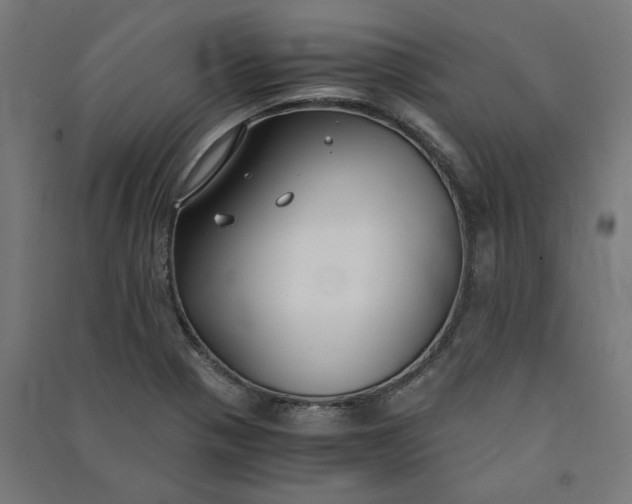 X0000091061321200708201336