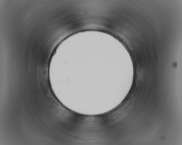 X0000091061322200708201336