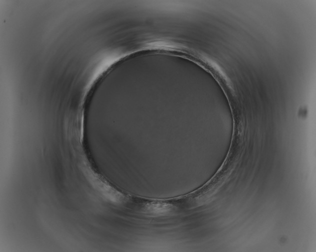 X0000091061323200708201336