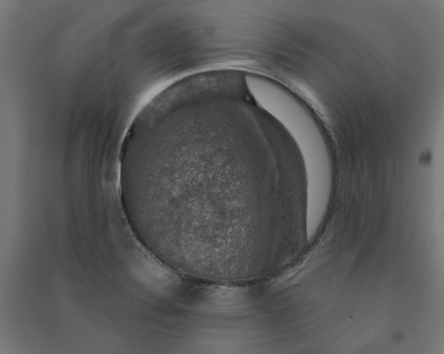 X0000091061324200708201336