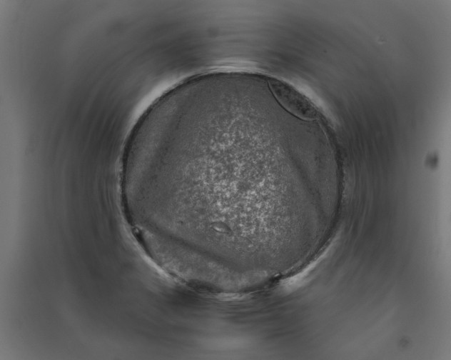 X0000091061325200708201336