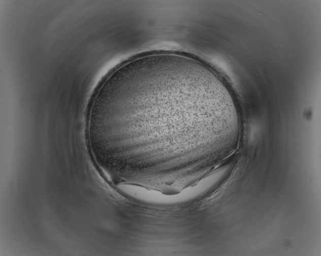 X0000091061326200708201336