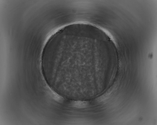 X0000091061327200708201336