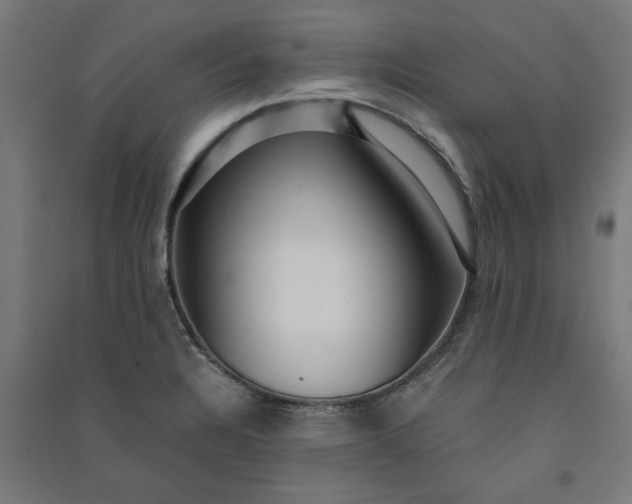 X0000091061328200708201336