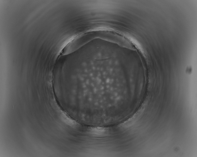 X0000091061329200708201336