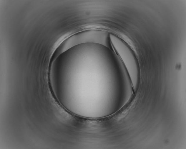 X0000091061330200708201336