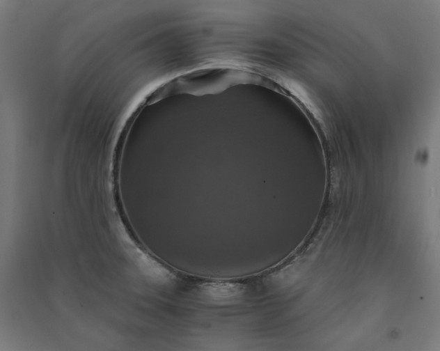 X0000091061331200708201336