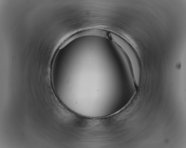 X0000091061332200708201336