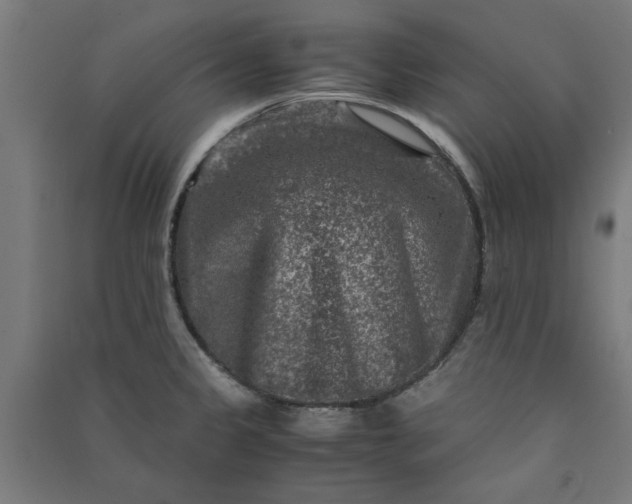 X0000091061333200708201336