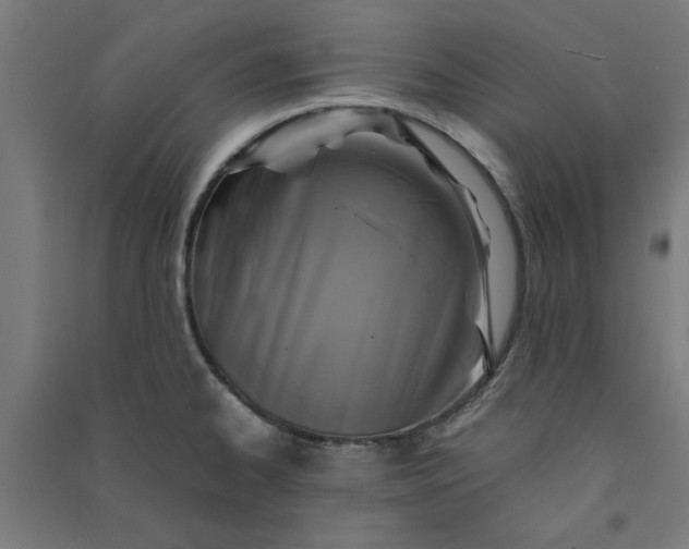 X0000091061334200708201336