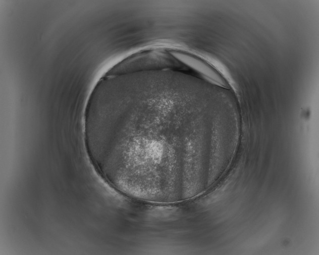 X0000091061335200708201336