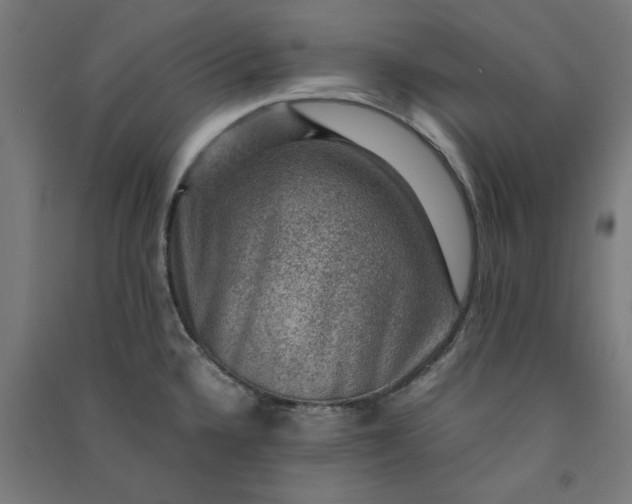 X0000091061336200708201336