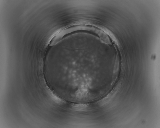 X0000091061337200708201336