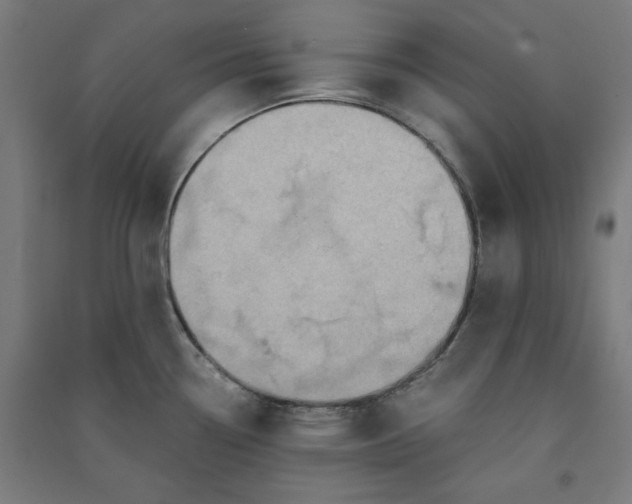 X0000091061338200708201336