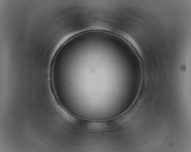 X0000091061339200708201336