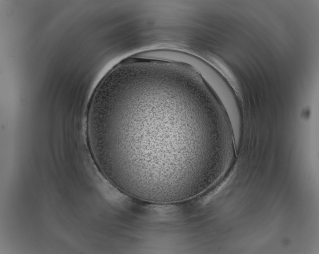 X0000091061340200708201336