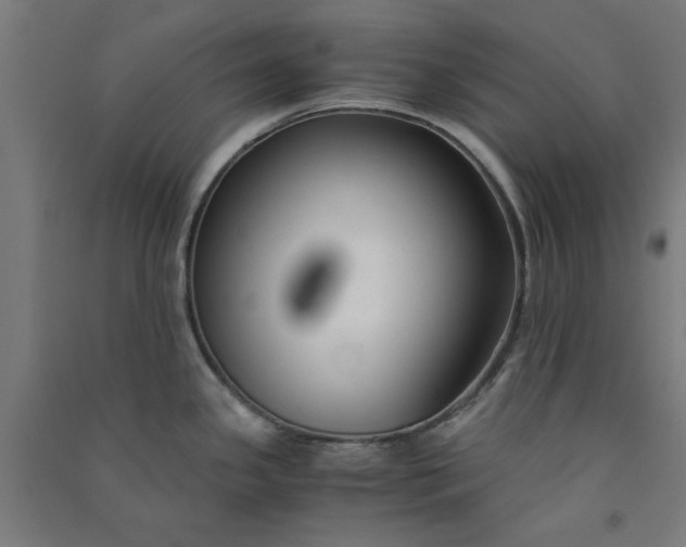 X0000091061341200708201336