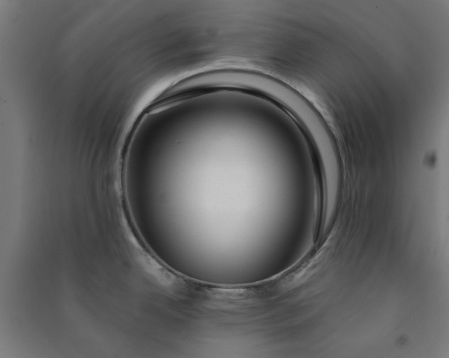 X0000091061342200708201336