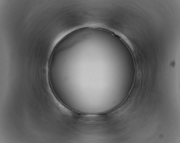 X0000091061343200708201336