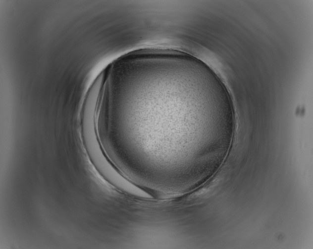 X0000091061344200708201336