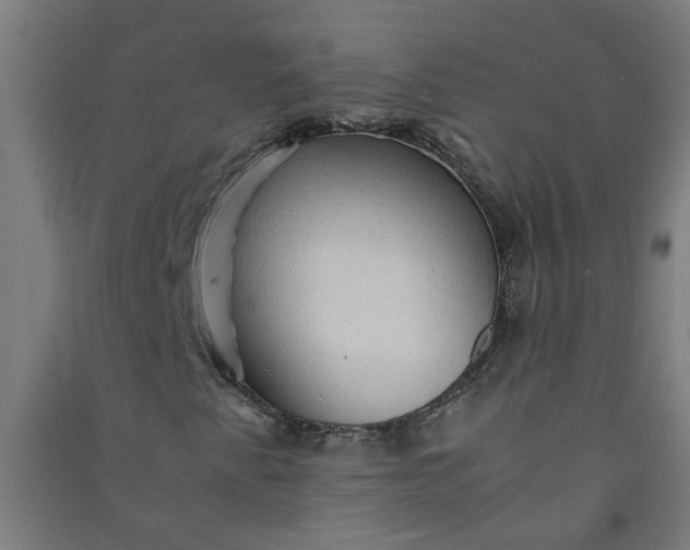 X0000091061345200708201336