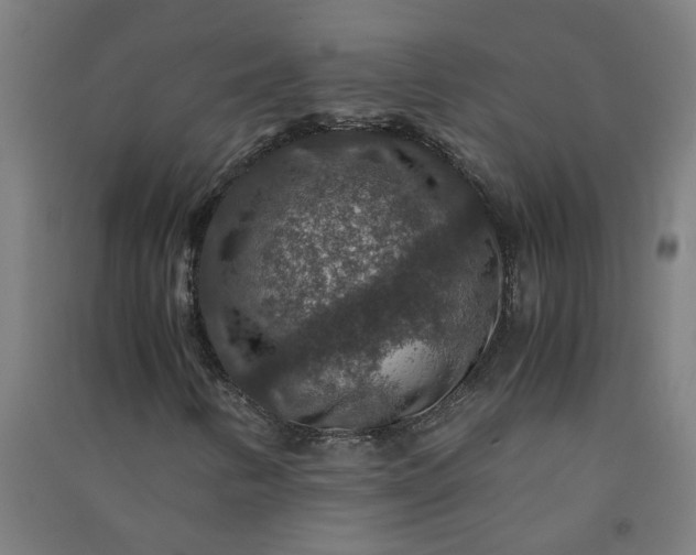X0000091061346200708201336