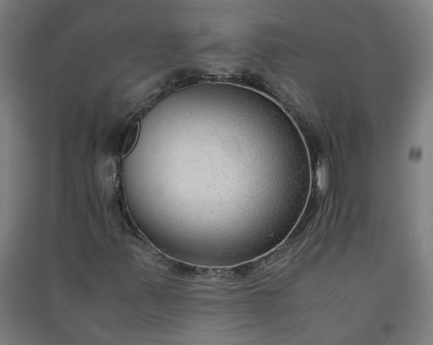 X0000091061347200708201335