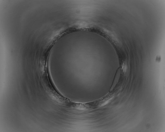 X0000091061348200708201335
