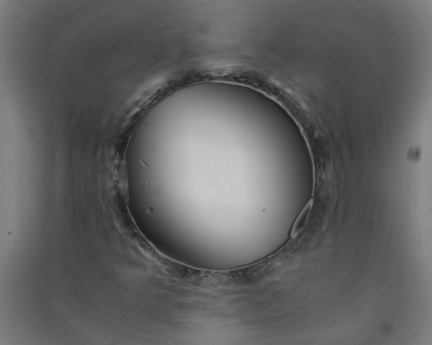 X0000091061349200708201335