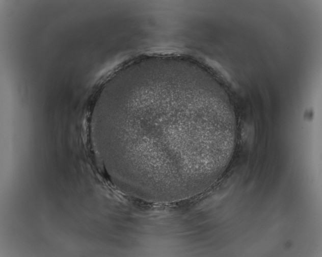 X0000091061350200708201335