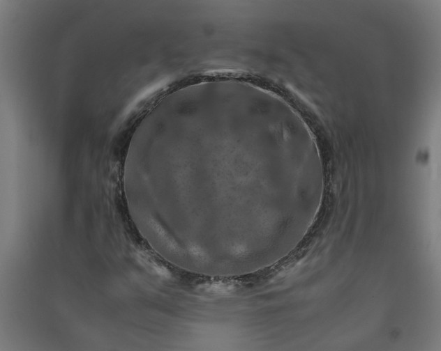 X0000091061351200708201335