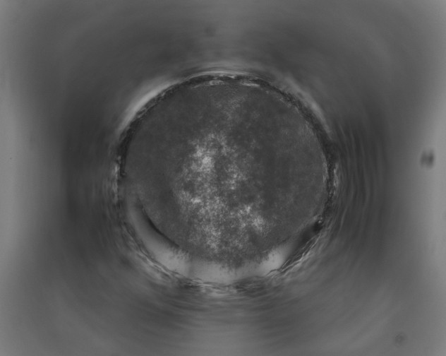 X0000091061352200708201335