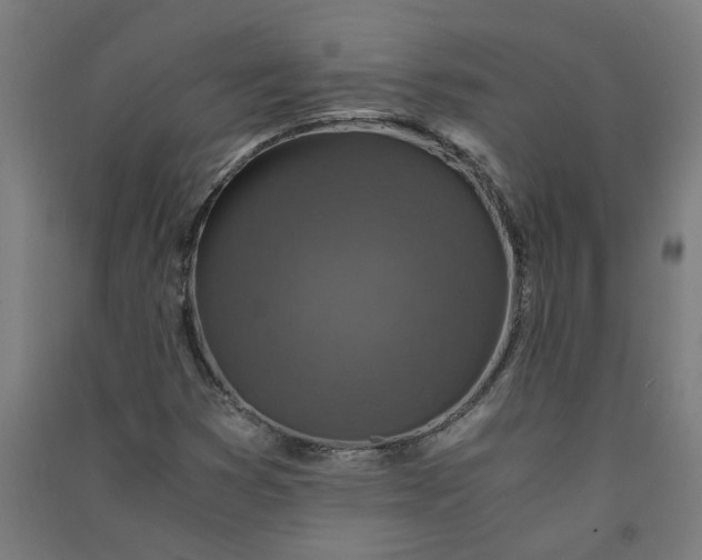 X0000091061353200708201335