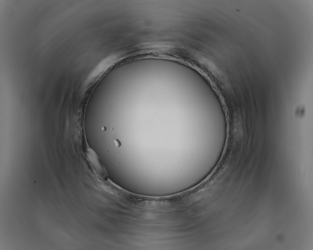 X0000091061354200708201335