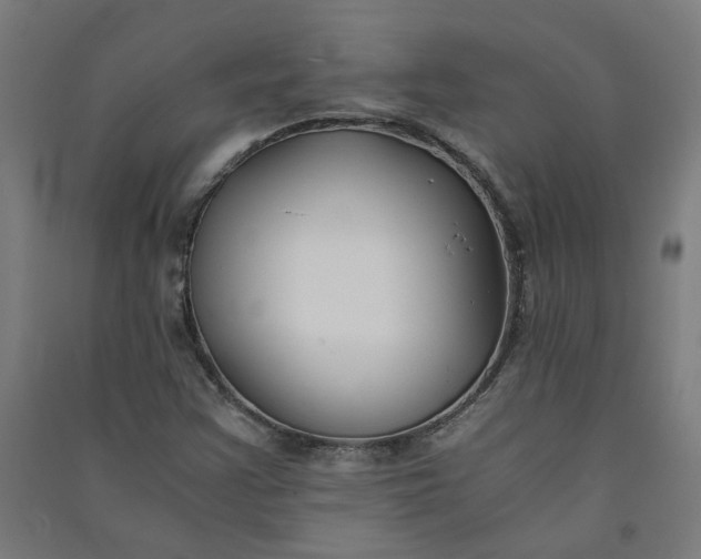 X0000091061355200708201335