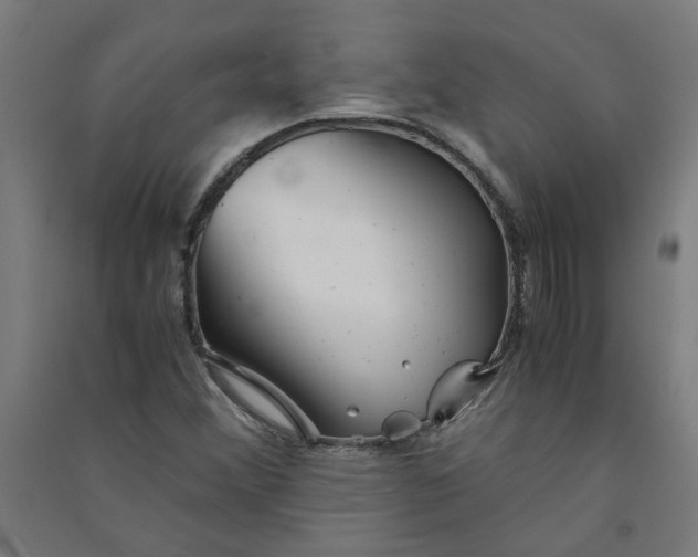 X0000091061356200708201335