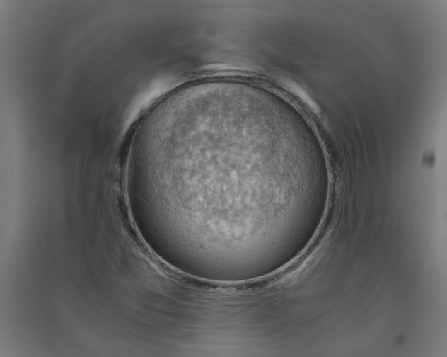X0000091061357200708201335