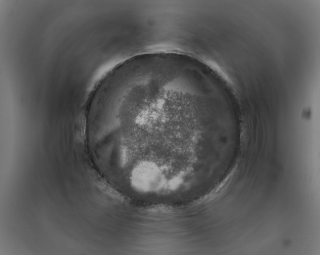 X0000091061358200708201335