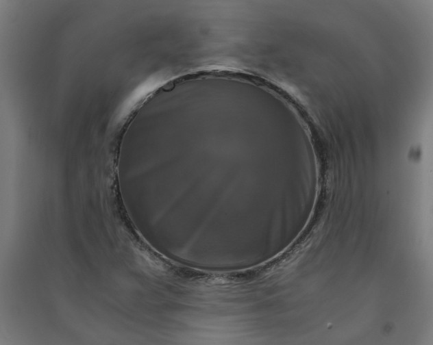 X0000091061359200708201335